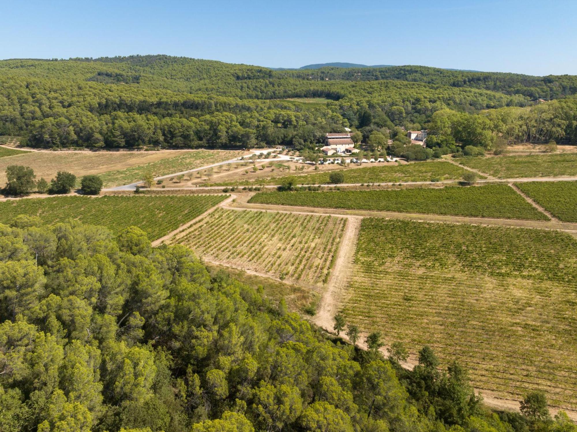 Château Mentone Masseboeuf Exterior foto